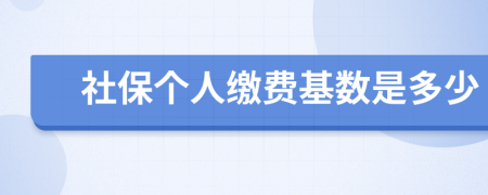 社保個(gè)人繳費(fèi)基數(shù)是多少