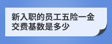 新入職的員工五險一金交費基數(shù)是多少