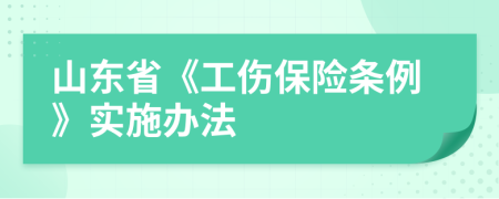 山東省《工傷保險(xiǎn)條例》實(shí)施辦法