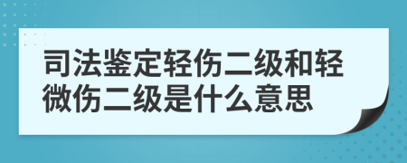 司法鑒定輕傷二級和輕微傷二級是什么意思