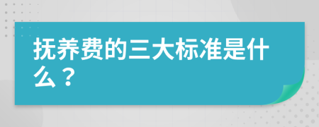 撫養(yǎng)費的三大標(biāo)準(zhǔn)是什么？