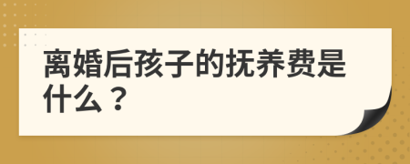 離婚后孩子的撫養(yǎng)費(fèi)是什么？
