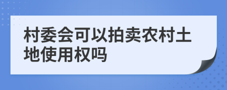 村委會可以拍賣農(nóng)村土地使用權(quán)嗎
