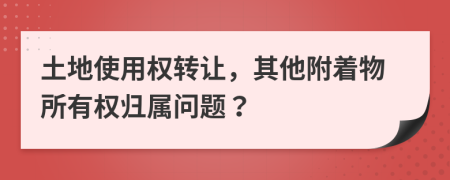 土地使用權(quán)轉(zhuǎn)讓，其他附著物所有權(quán)歸屬問題？