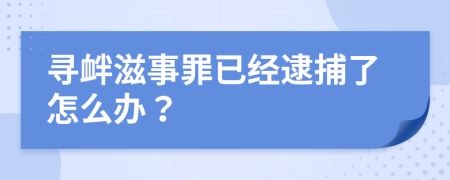 尋釁滋事罪已經(jīng)逮捕了怎么辦？