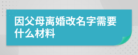 因父母離婚改名字需要什么材料
