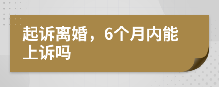 起訴離婚，6個月內(nèi)能上訴嗎