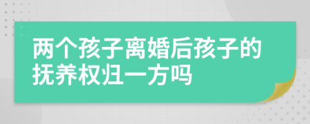 兩個(gè)孩子離婚后孩子的撫養(yǎng)權(quán)歸一方嗎