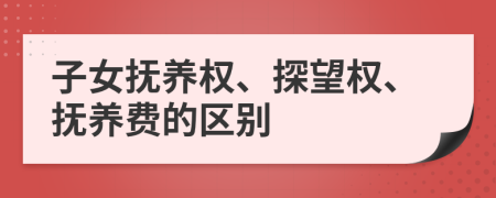 子女撫養(yǎng)權、探望權、撫養(yǎng)費的區(qū)別