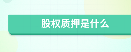 股權質(zhì)押是什么