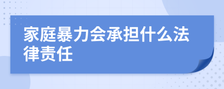 家庭暴力會(huì)承擔(dān)什么法律責(zé)任