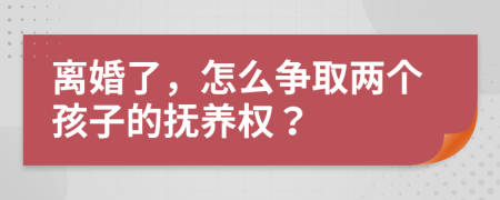 離婚了，怎么爭取兩個孩子的撫養(yǎng)權？