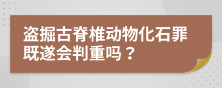 盜掘古脊椎動(dòng)物化石罪既遂會(huì)判重嗎？