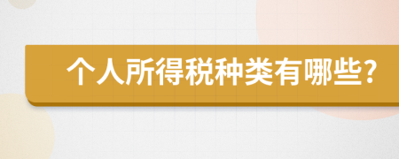 個人所得稅種類有哪些?