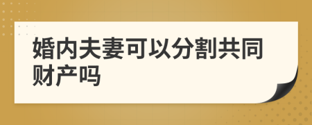 婚內(nèi)夫妻可以分割共同財(cái)產(chǎn)嗎