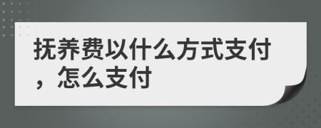 撫養(yǎng)費(fèi)以什么方式支付，怎么支付