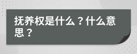 撫養(yǎng)權(quán)是什么？什么意思？