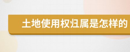 土地使用權歸屬是怎樣的