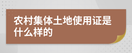 農(nóng)村集體土地使用證是什么樣的
