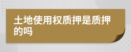 土地使用權(quán)質(zhì)押是質(zhì)押的嗎