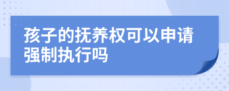 孩子的撫養(yǎng)權(quán)可以申請(qǐng)強(qiáng)制執(zhí)行嗎