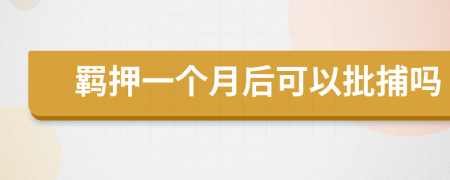 羈押一個(gè)月后可以批捕嗎
