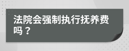 法院會強制執(zhí)行撫養(yǎng)費嗎？
