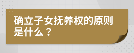 確立子女撫養(yǎng)權(quán)的原則是什么？