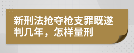 新刑法搶奪槍支罪既遂判幾年，怎樣量刑