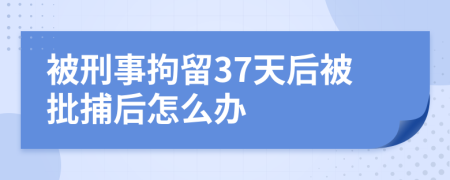 被刑事拘留37天后被批捕后怎么辦