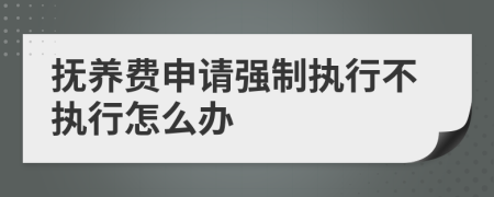 撫養(yǎng)費申請強制執(zhí)行不執(zhí)行怎么辦