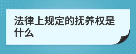 法律上規(guī)定的撫養(yǎng)權(quán)是什么