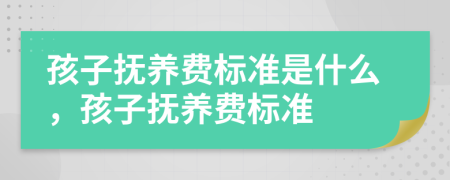 孩子撫養(yǎng)費標準是什么，孩子撫養(yǎng)費標準