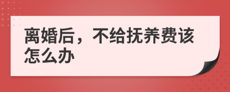 離婚后，不給撫養(yǎng)費(fèi)該怎么辦