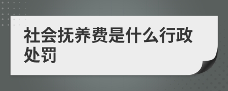 社會(huì)撫養(yǎng)費(fèi)是什么行政處罰