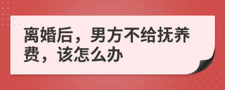 離婚后，男方不給撫養(yǎng)費(fèi)，該怎么辦