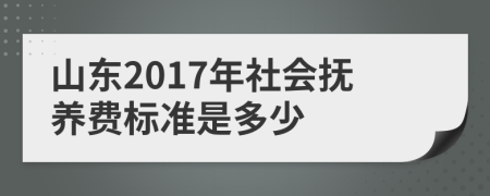 山東2017年社會(huì)撫養(yǎng)費(fèi)標(biāo)準(zhǔn)是多少