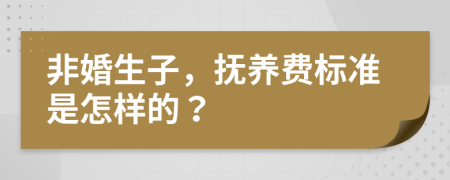 非婚生子，撫養(yǎng)費(fèi)標(biāo)準(zhǔn)是怎樣的？