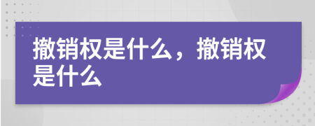 撤銷權(quán)是什么，撤銷權(quán)是什么