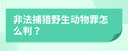 非法捕獵野生動(dòng)物罪怎么判？