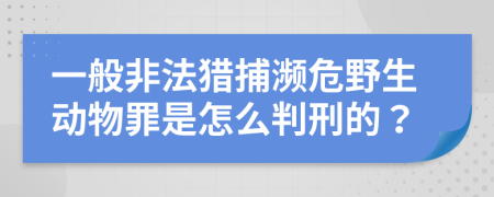 一般非法獵捕瀕危野生動物罪是怎么判刑的？