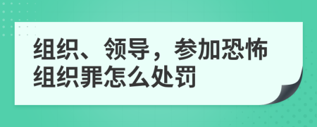 組織、領(lǐng)導(dǎo)，參加恐怖組織罪怎么處罰