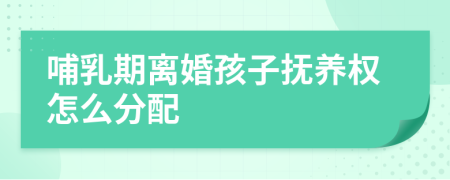 哺乳期離婚孩子撫養(yǎng)權(quán)怎么分配