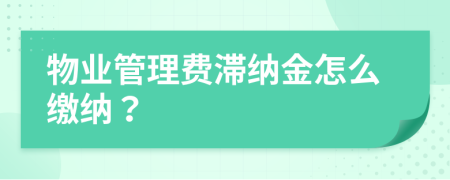 物業(yè)管理費(fèi)滯納金怎么繳納？