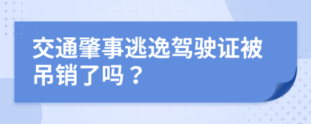 交通肇事逃逸駕駛證被吊銷了嗎?