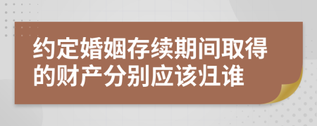 約定婚姻存續(xù)期間取得的財產(chǎn)分別應該歸誰