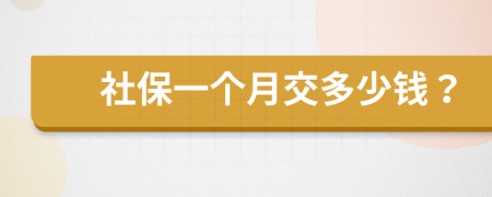 社保一個(gè)月交多少錢？