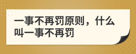 一事不再罰原則，什么叫一事不再罰