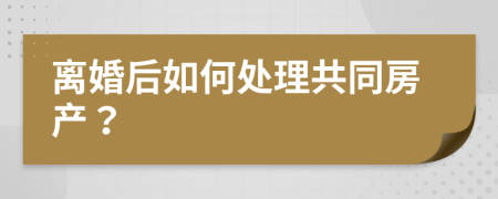 離婚后如何處理共同房產(chǎn)？