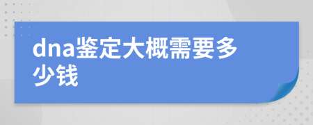 dna鑒定大概需要多少錢